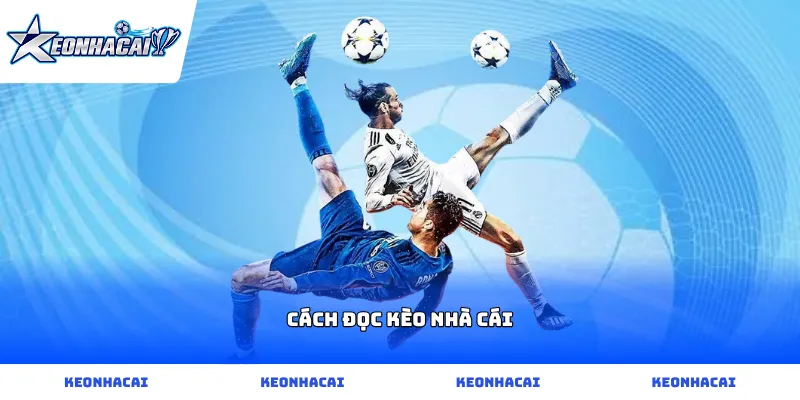 Hướng dẫn cách đọc kèo nhà cái chi tiết và dễ hiểu cho người mới