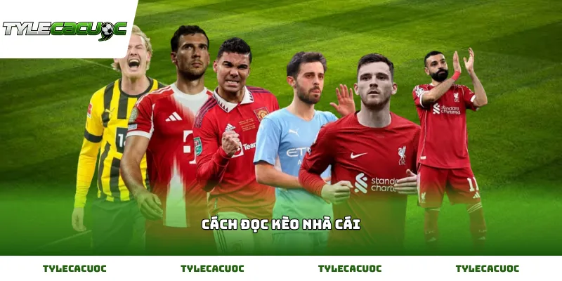 Hướng dẫn cách đọc kèo nhà cái chi tiết và dễ hiểu cho người mới