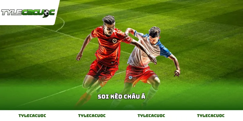 Hướng dẫn soi kèo Châu á chuẩn xác từ nhận định của các cao thủ