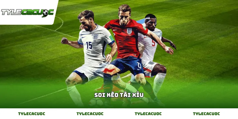 Kinh nghiệm soi kèo tài xỉu chuẩn xác giúp nhận biết nhịp cầu chuẩn