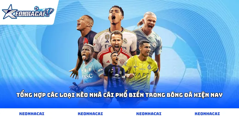 Tổng hợp các loại kèo nhà cái phổ biến trong bóng đá hiện nay