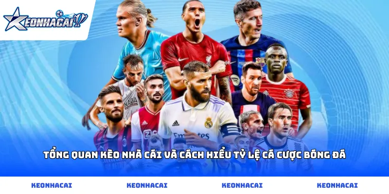 Tổng quan kèo nhà cái và cách hiểu tỷ lệ cá cược bóng đá